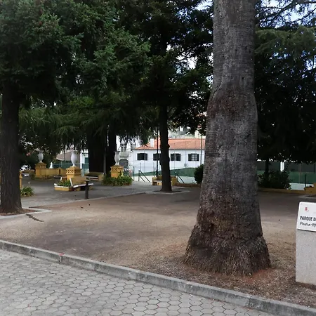 Souto 25 - T0 Na Regua Lägenhet