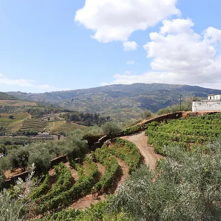 Souto 25 - T0 Na Regua Peso da Régua