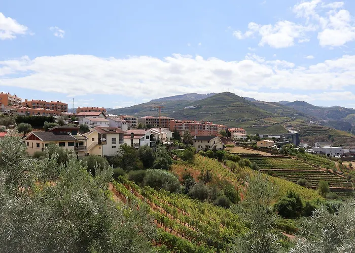 Souto 25 - T0 Na Regua Lejlighed