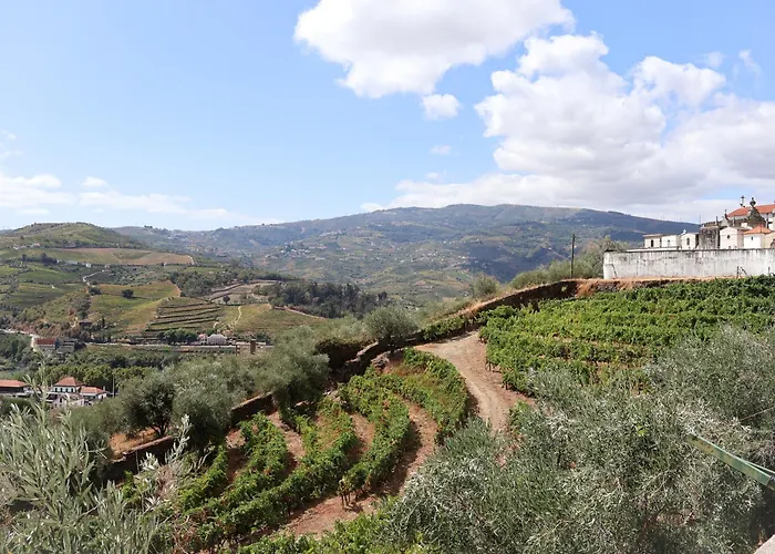 Souto 25 - T0 Na Regua Peso da Régua