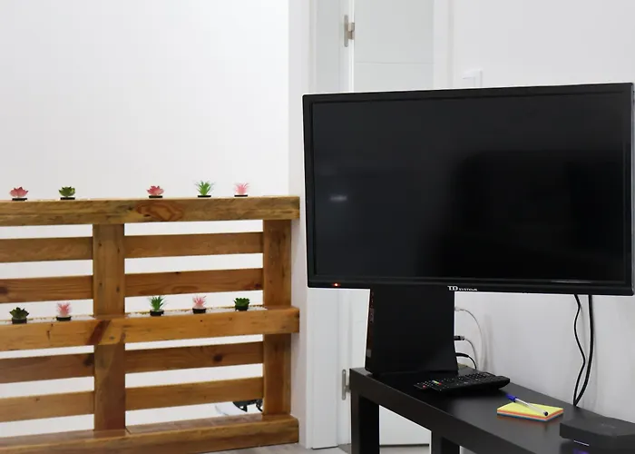 Souto 25 - T0 Na Regua Lejlighed